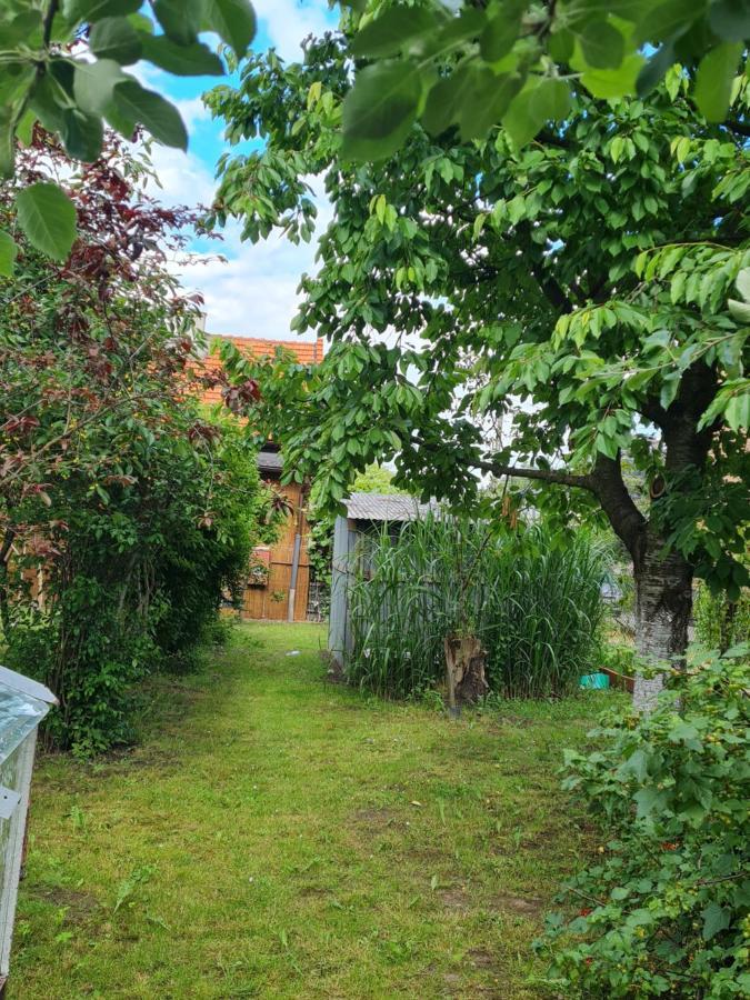 Apartament Wojska Polskiego 35 Villa Wadowice Bagian luar foto